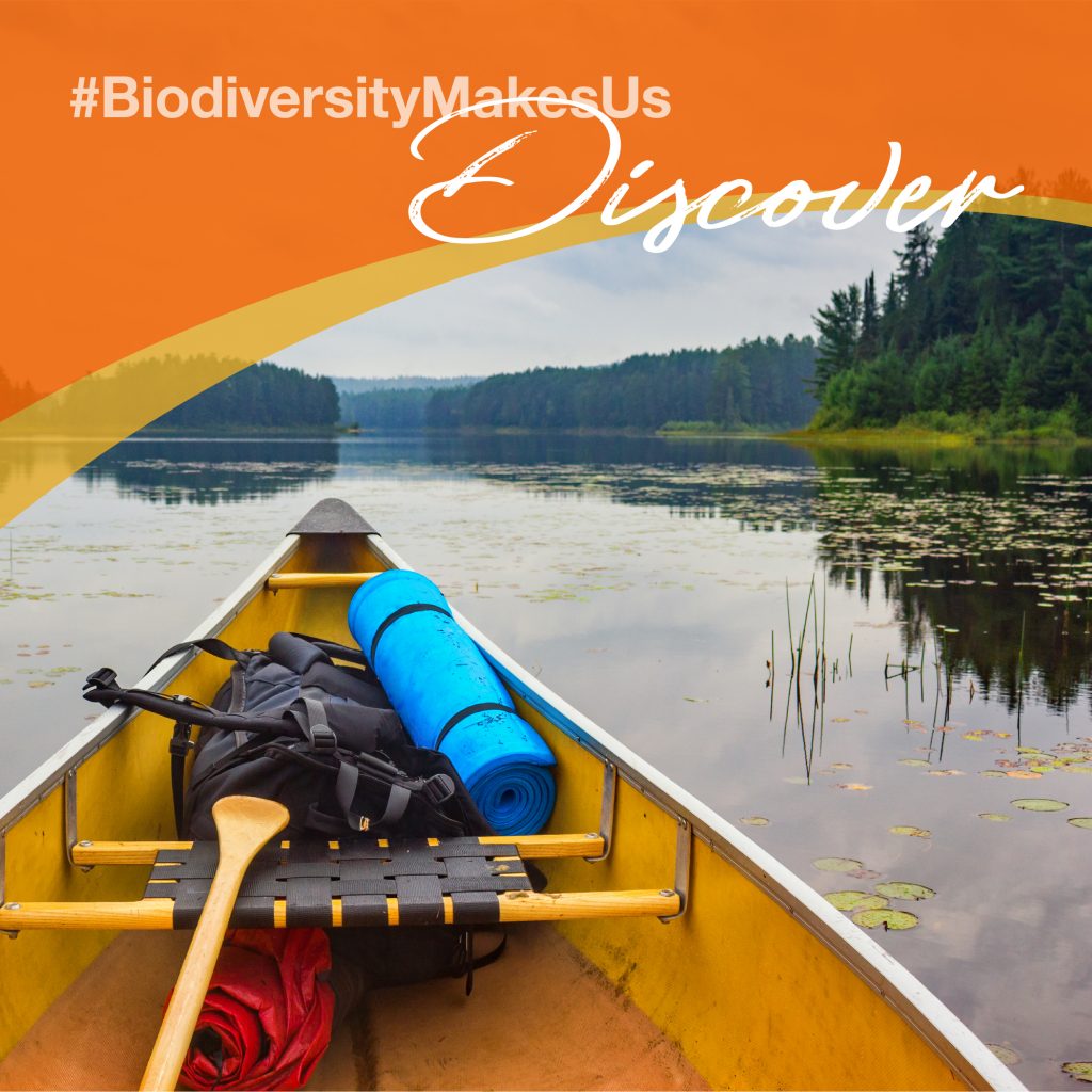 Ontario Biodiversity Council Biodiversitymakesus Ontario