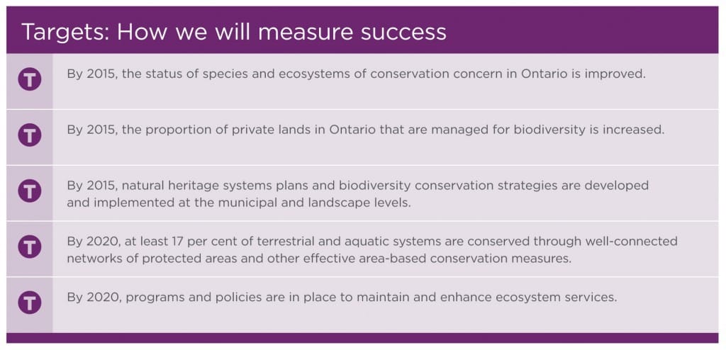 ActionFramework-enhance-resilience-targets-1024x494