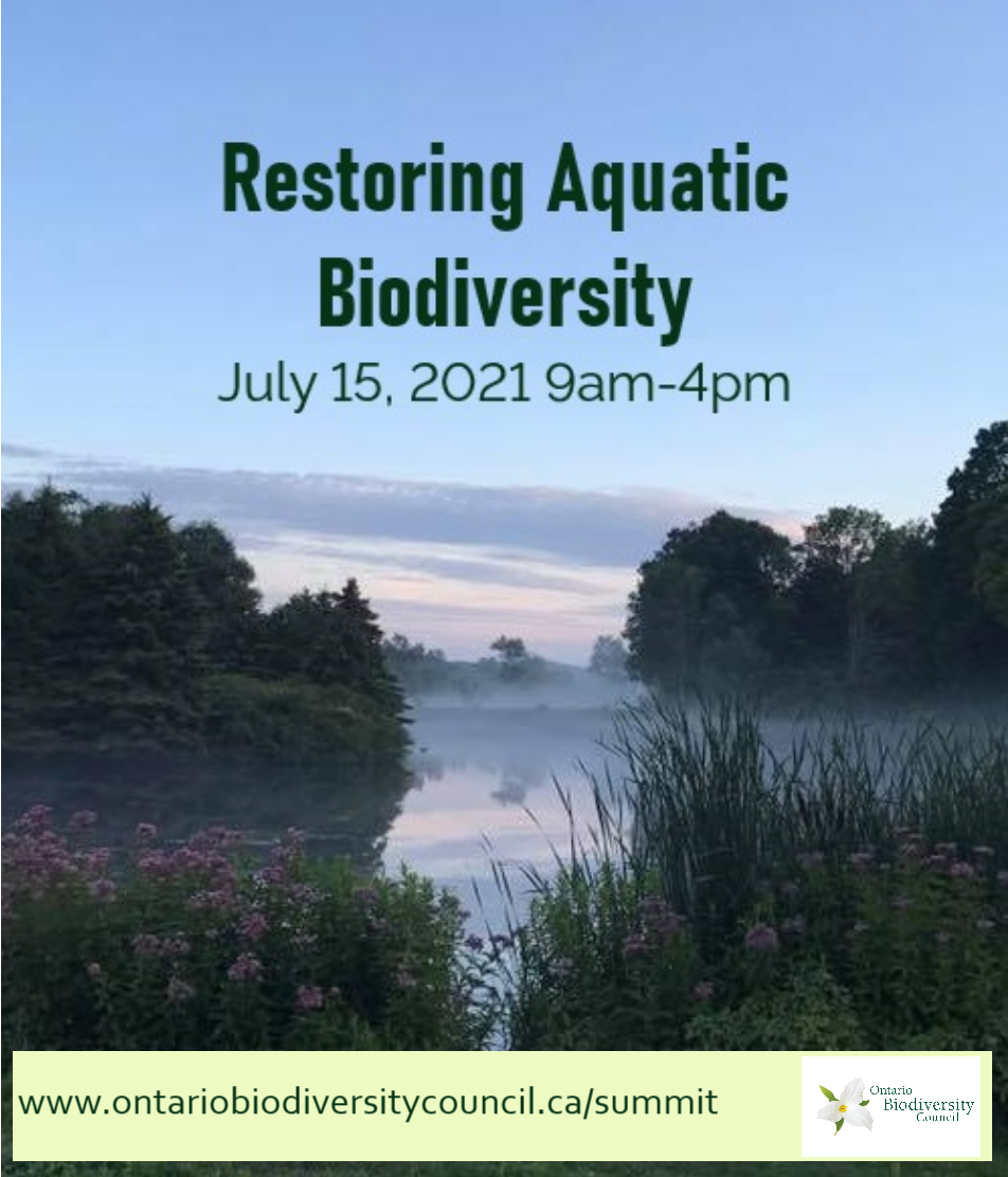 Restoring aquatic biodiversity graphic