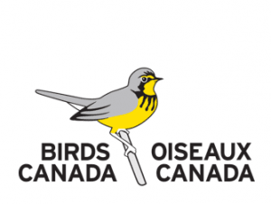 Birds Canada logo with drawing of bird and text