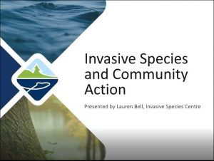 Opening slide screenshot for invasive species presentation