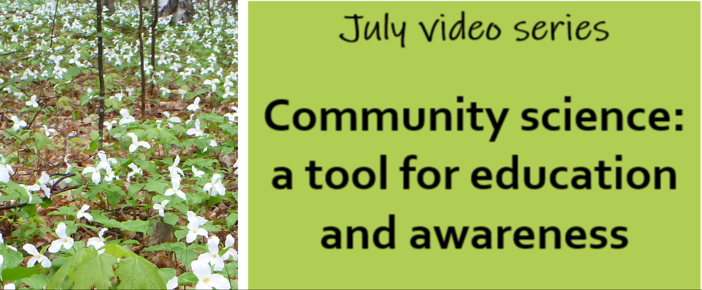 Trilliums on forest background with title community science video series in text