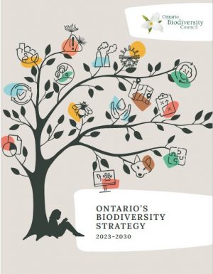 Cover of 2023 Ontario's Biodiversity Strategy