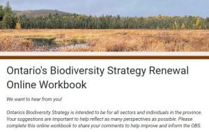 screen shot from the ontario's biodidiversity strategy renewal online workbook