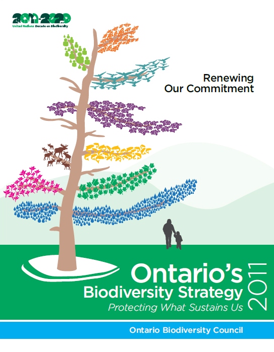 Cover of Ontario's Biodiversity Strategy 2011