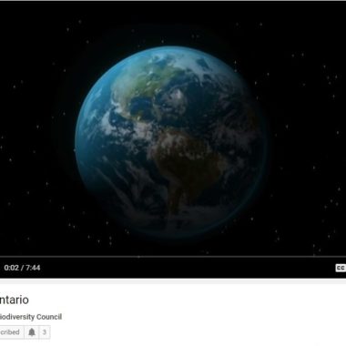 Our World, Ontario screenshot of video