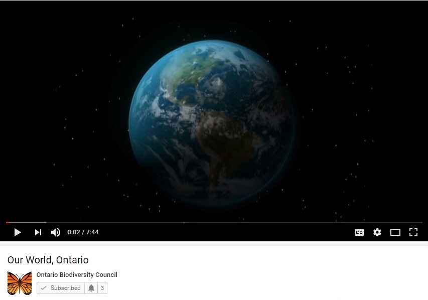 Our World, Ontario screenshot of video