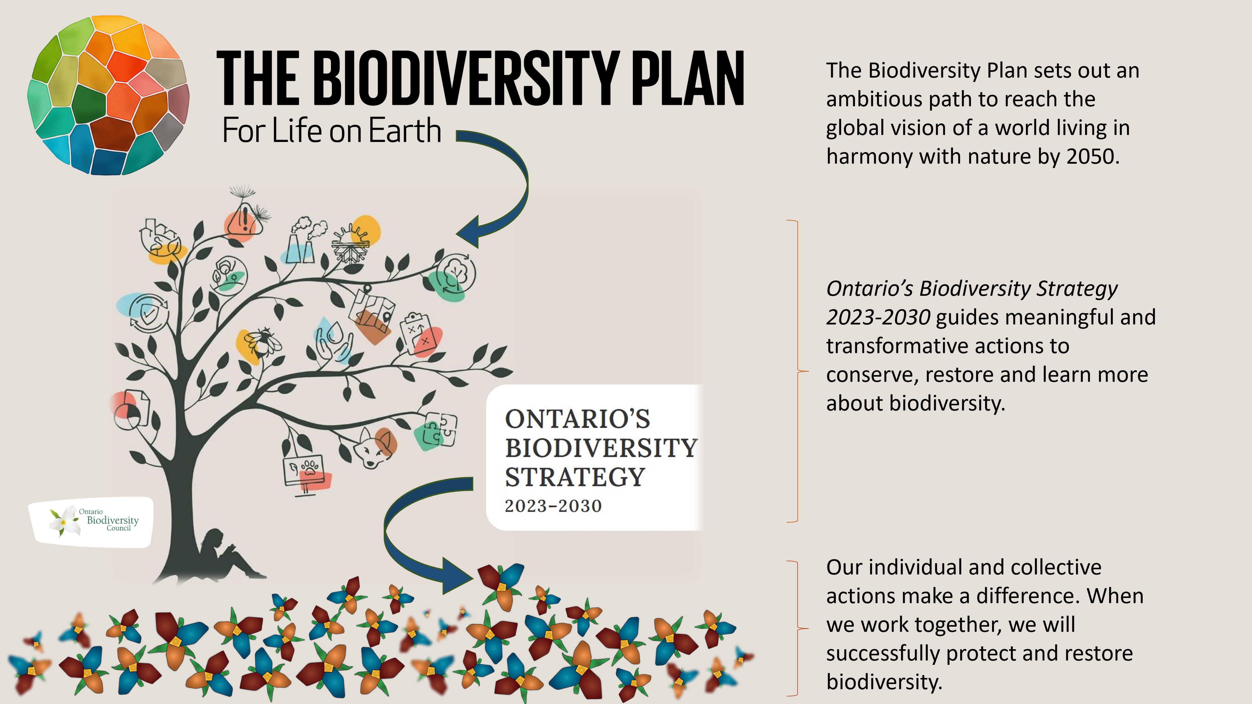 graphic showing logos for the Biodiversity Plan and Ontario's Biodiversity Strategy