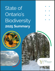 Image showing front cover of the 2025 State of Ontario's Biodiversity summary report. Images include a yellow flower, a forest, and a lake.