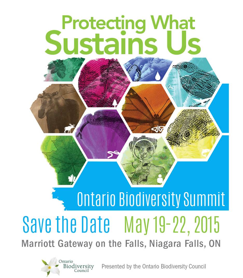 2015 Ontario Biodiversity Summit promotional card
