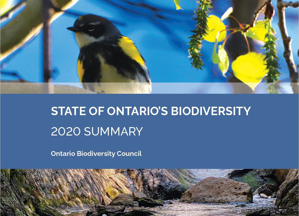 cover of the State of Ontario's Biodiversity 2020 Summary Report