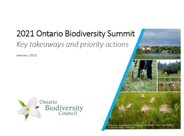 Cover of the 2021 Ontario Biodiversity Summit Summary document