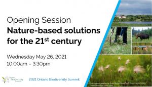First slide for the 2021 Ontario Biodiversity Summit opening session